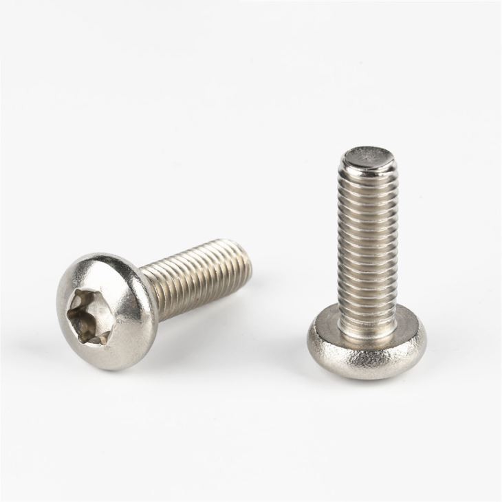 M4 Round Torx Head Stainless Steel Screw